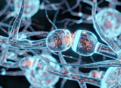 Működhet-e az ultrahangkezelés az Alzheimer-kór ellen? című cikk nyitóképe