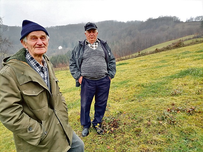 Milutin i Vladislav Subotić