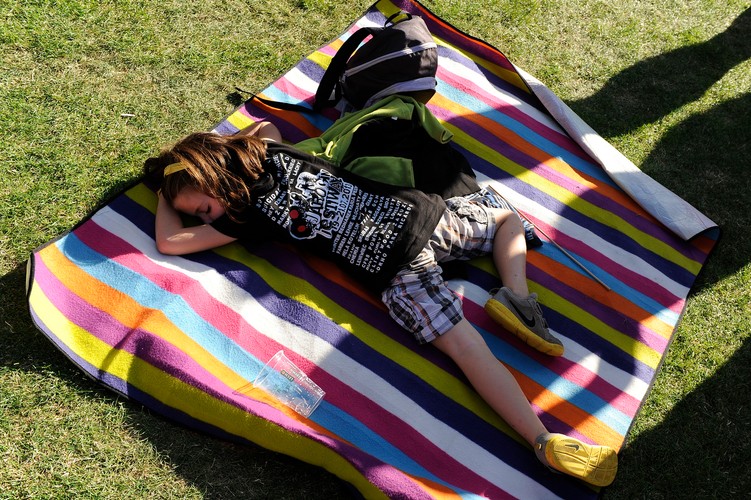 Jarocin Festiwal 2013