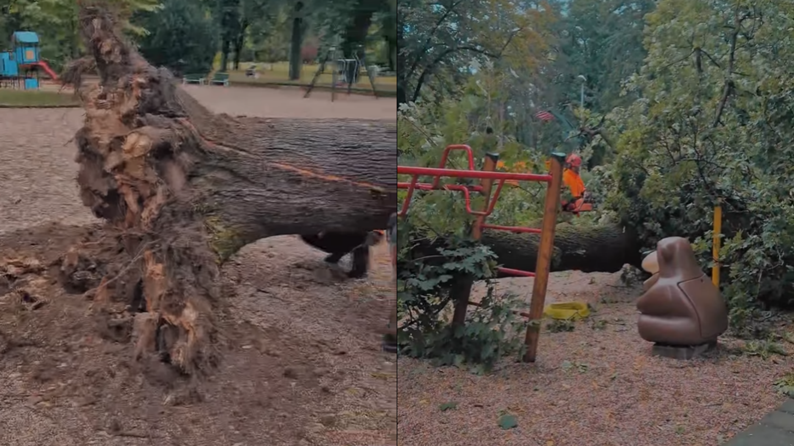 Na detské ihrisko v Piešťanoch spadol strom.