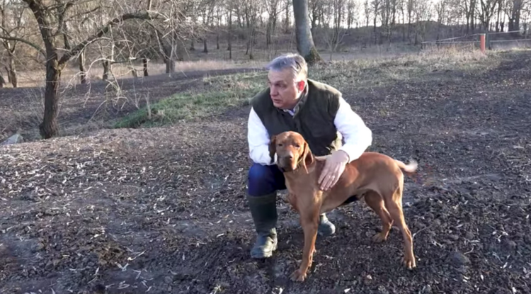 Orbán Viktor és a kutyája, Alfi