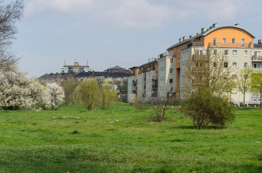 Mieszkańcy Naramowic chcą mieć swoje targowisko