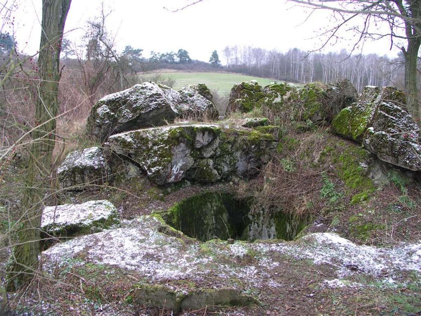 Bursztynowa Komnata jest w Pniewie