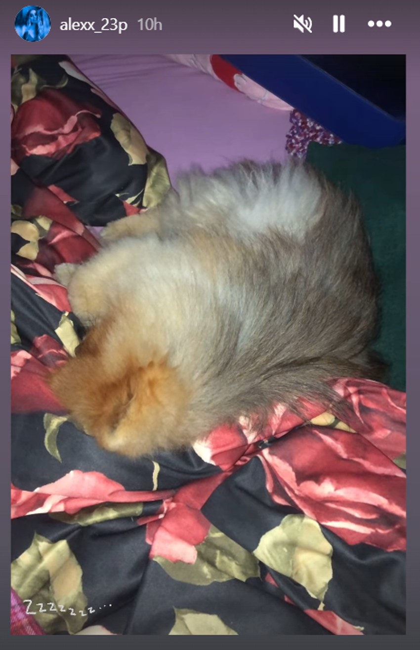 Oglasila se Aleksandra Popović