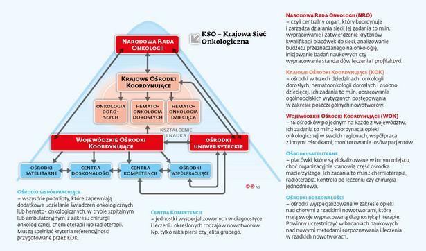 Krajowa sieć onkologii (c)(p)