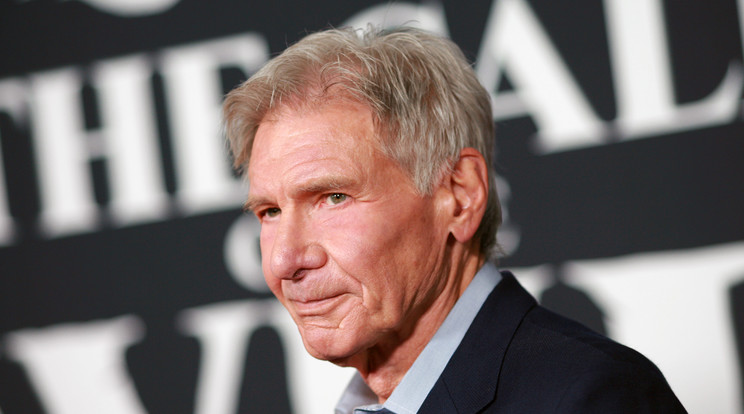 Harrison Ford rendesen kigyúrta magát, a dagadó izmai mögött pedig egy diéta és kevés edzés áll / Fotó: Northfoto