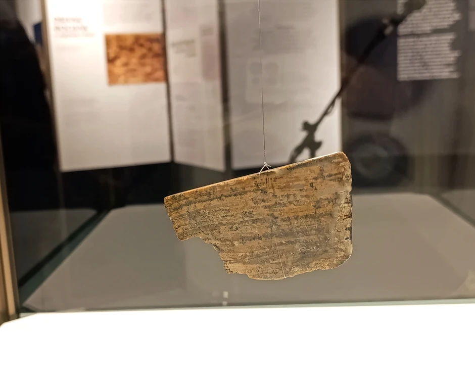 Fosilizovani stromatoliti, pre oko 3,5 milijardi godina - najstariji eksponat u muzejskoj kolekciji