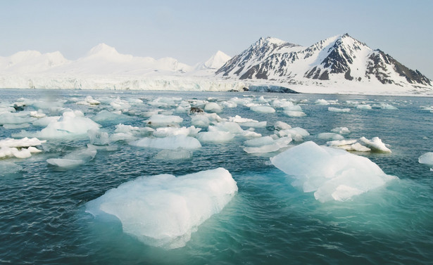Niezwykła wyprawa na Ocean Arktyczny. Naukowcy pozwolą uwięzić się w lodzie