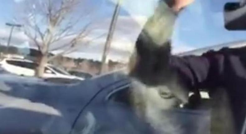 Goat found chilling in driver's seat of a car 