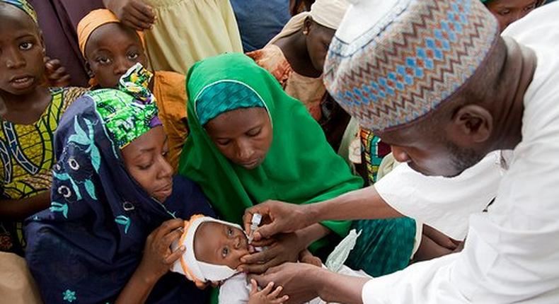 Nigerian health official administers a polio vaccine to a child in Kano, northern Nigeria