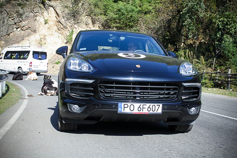 Porsche Cayenne. Luksusowy król bezdroży