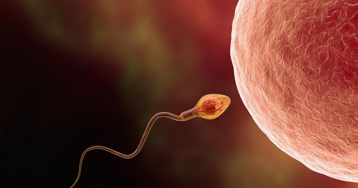 ¿Cómo quedas embarazada?  La fertilización in vitro a los 40 años reduce las posibilidades de tener un bebé sano