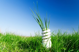 Zrównoważony rozwój w firmach. Zmieniając treść dyrektywy, wyświadczono niedźwiedzią przysługę