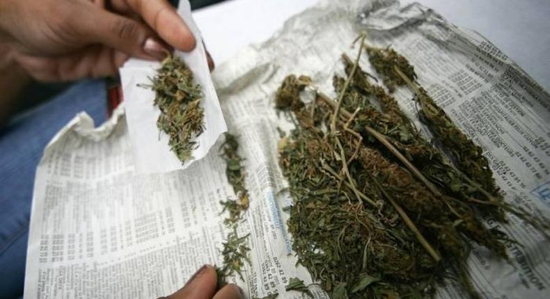 Légalisation-cannabis-Afr-du-Sud-DR-1