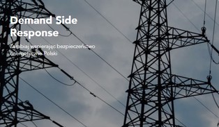 Jak zarobić na DSR?