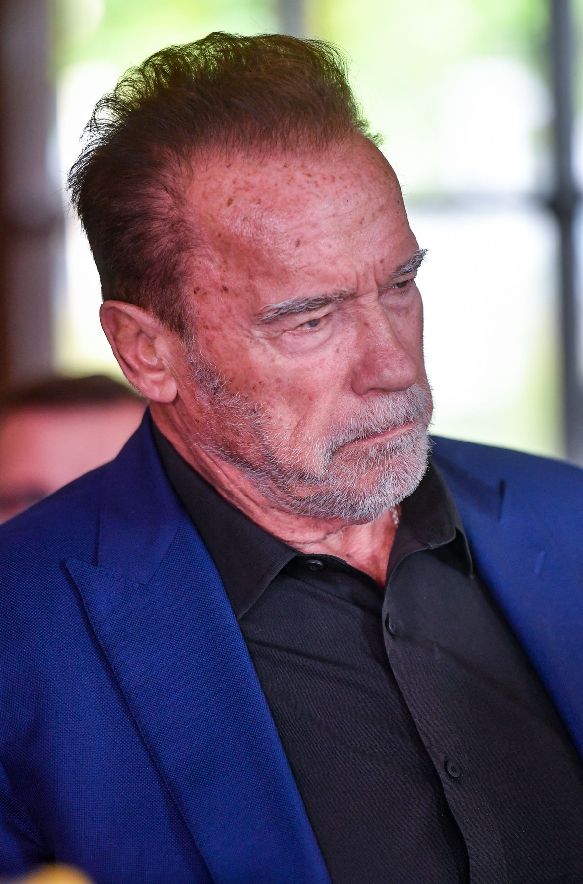  Herec Arnold Schwarzenegger 