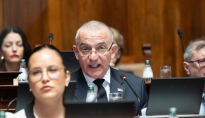 Nenad Vujić