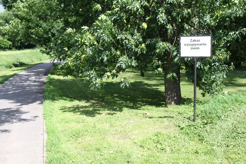 Park Olszynki
