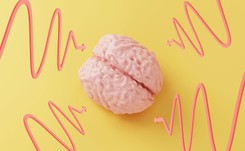 Lepiej pamiętamy to, czego uczymy się w stresie