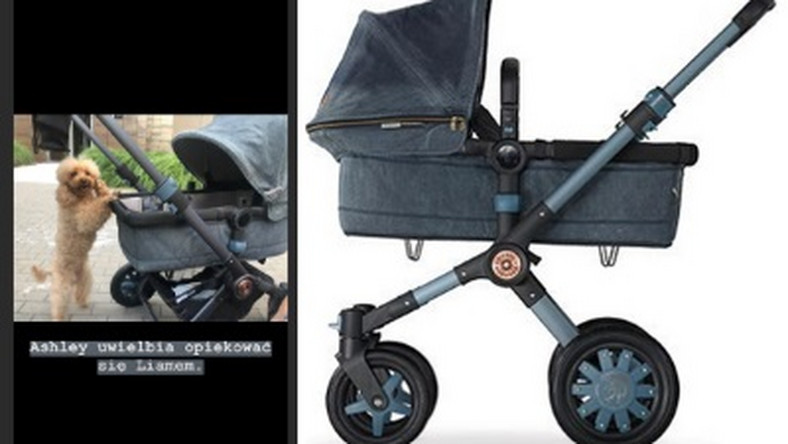 Marina opublikowała na Instastory zdjęcie wózka Liama. To model Bugaboo Buffalo Diesel, który kosztuje ponad pięć tysięcy zł!