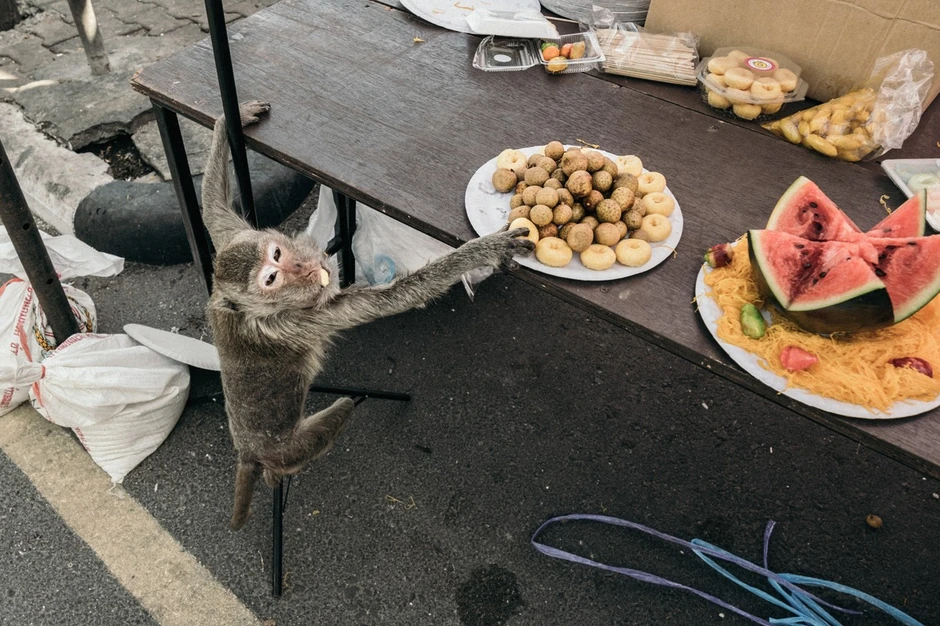 Majamuni na Tajlandu