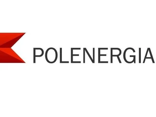 Polenergia logo