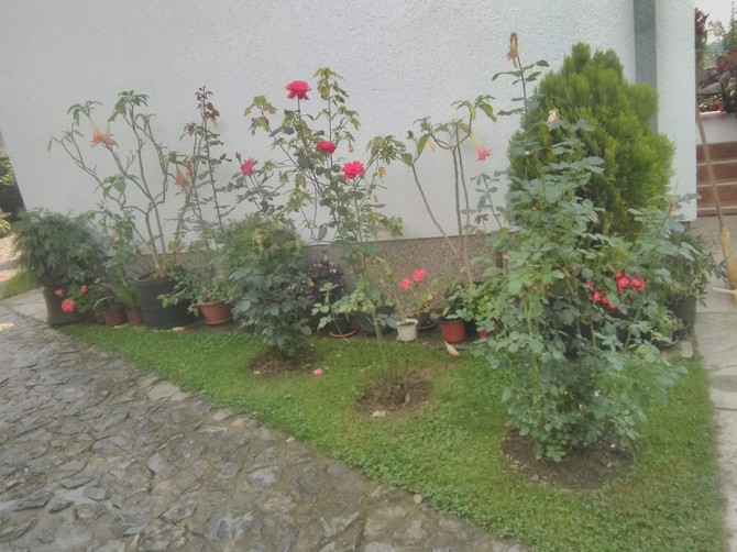 Pored cveća Andrići imaju i etno kutak sa mnoštvom eksponata