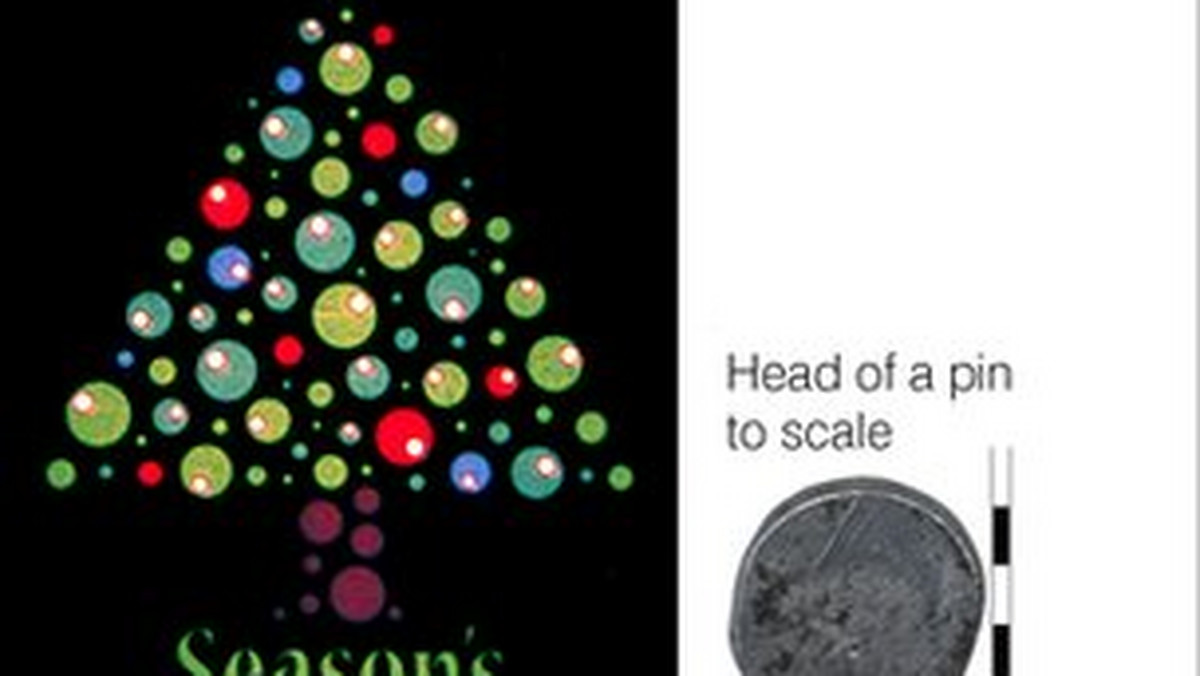 Brytyjscy naukowcy stworzyli najmniejszą na świecie kartkę świąteczną. Zaprojektowana została przez nanotechnologów z uniwersytetu w Glasgow i jest tak mała, że mogłaby się zmieścić na znaczku pocztowym 8276 razy - poinformował bbc.co.uk.