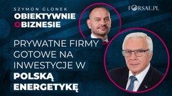 Prywatne firmy gotowe na inwestycje w modernizację polskiej sieci energetycznej