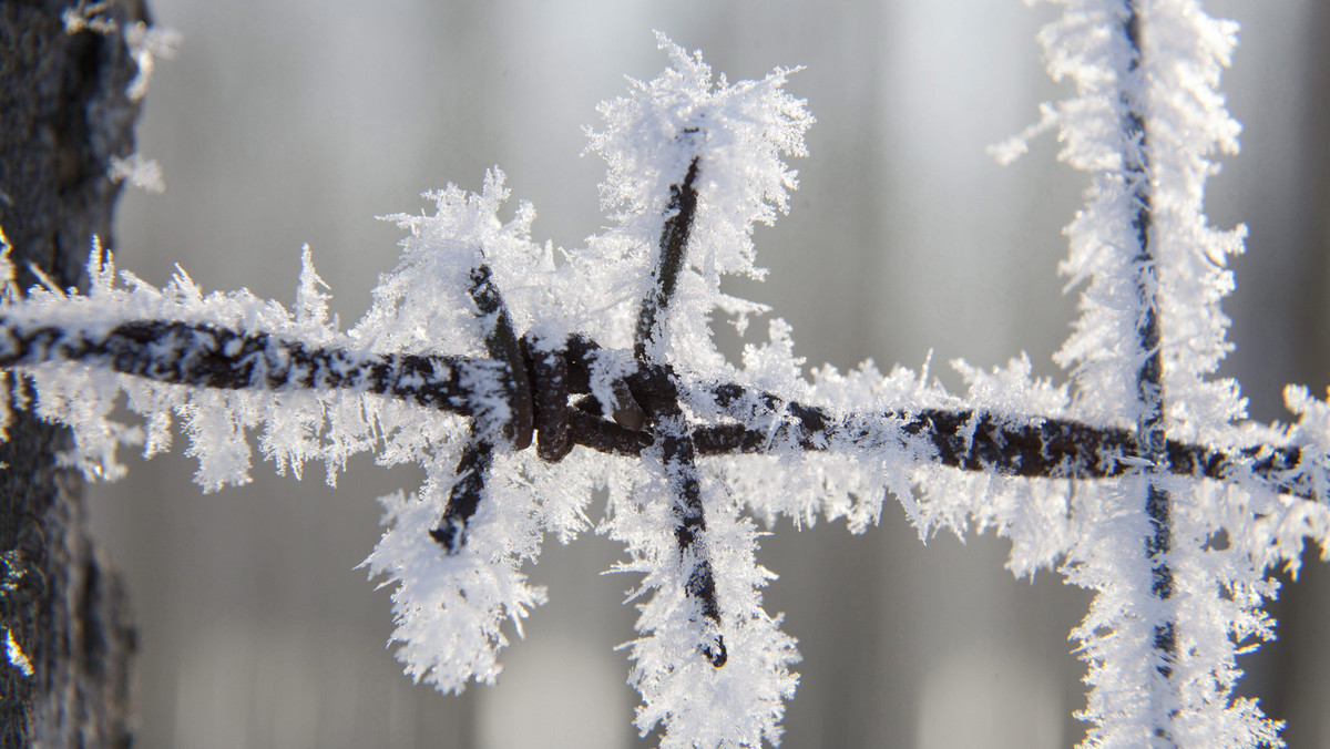 Na południowej granicy Węgier powstaje wyższe i silniejsze niż dotąd ogrodzenie – oświadczył doradca premiera Viktora Orbana ds. bezpieczeństwa wewnętrznego Gyoergy Bakondi w piątek wieczorem w telewizji M1.