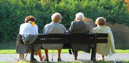 Szokujący pomysł PiS! Uderzy w seniorów? Specjaliści tłumaczą