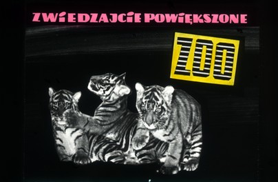 Tak zoo reklamowało się w PRL!