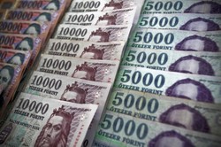 Proces wymiany forinta na euro ma być bezpieczny dla węgierskiej gospodarki