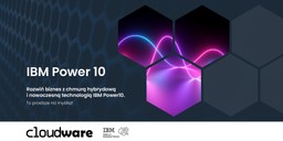 Cyberbezpieczeństwo w firmie. Sprawdź, jak można je skutecznie zapewnić