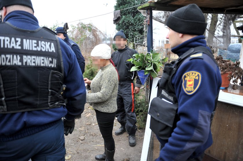 piekło zwierząt na Bałutach w Łodzi