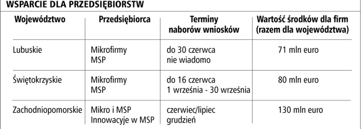 Wsparcie dla przedsiębiorstw