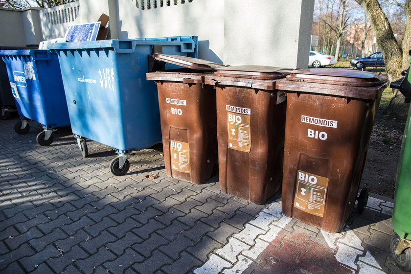 W Poznaniu będą sprawdzać, jak mieszkańcy segregują śmieci