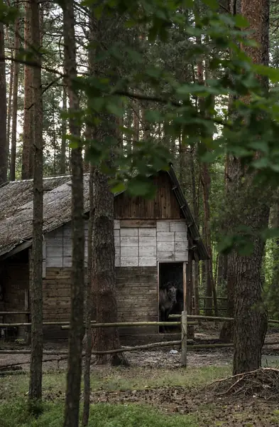 Ośrodek wypoczynkowy Fryszerka, opisany przez Marcina Wojdaka w książce &quot;Ostatni turnus&quot;