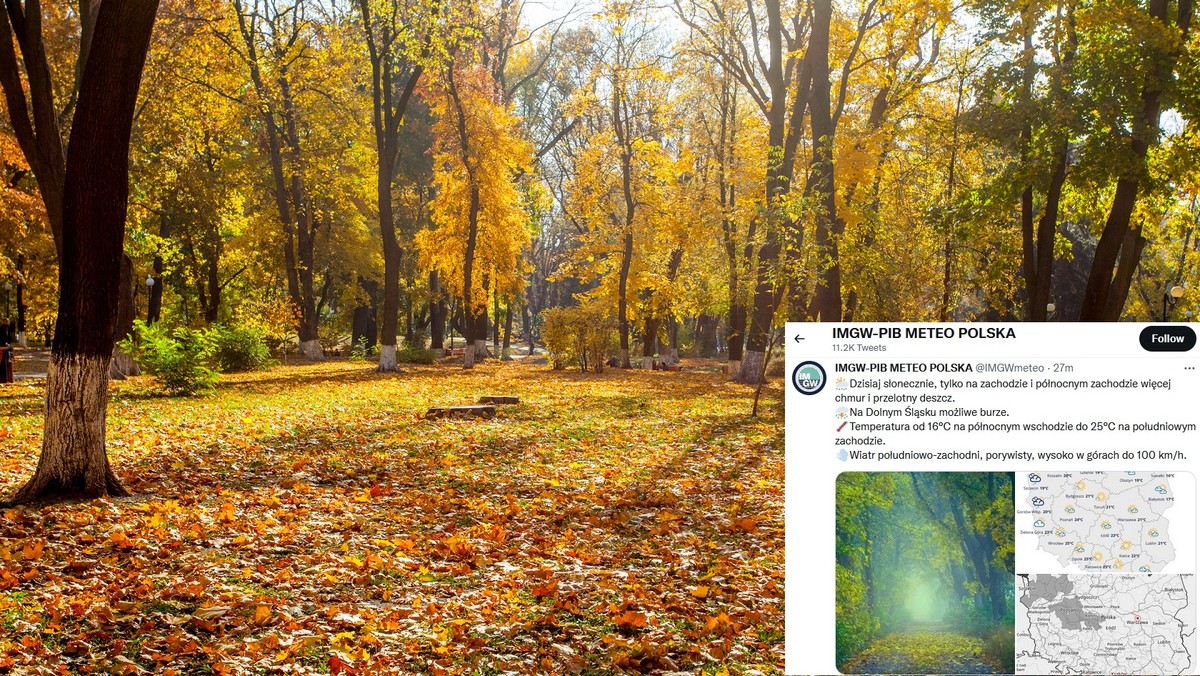 Prognoza pogody na wtorek 5 października