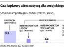 Gaz łupkowy alternatywą dla rosyjskiego surowca