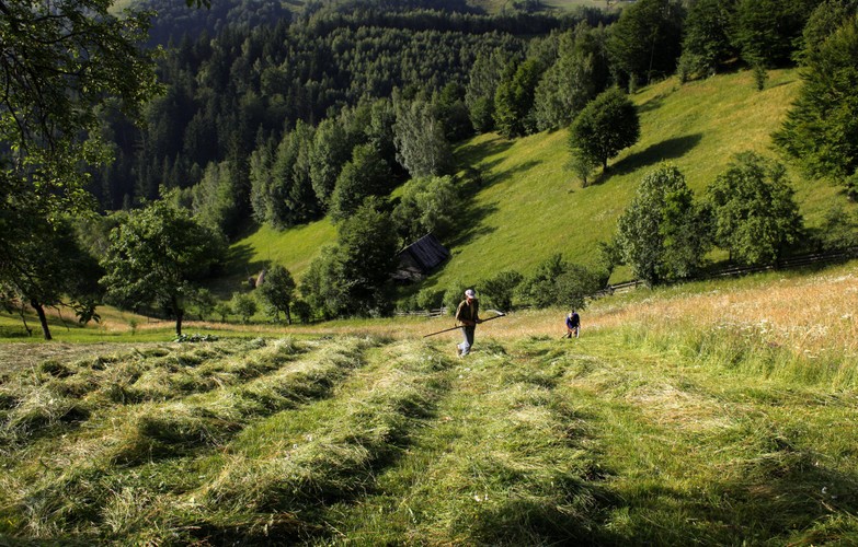 Krajobrazy w wiosce Magura w rumuńskiej Transylwanii