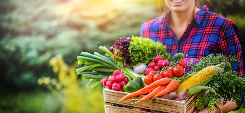 Nie popełnij tych błędów, bo warzywa z twojego ogrodu będą gorzkie. Na to musisz uważać