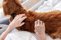 Pan Waldemar umierał, chciał ostatni raz pogłaskać swoje koty. Szpital spisał się na medal