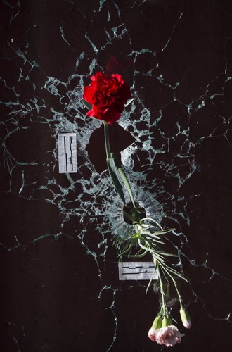 NIEZAPOMNIANE ZDJĘCIA 2015 ROKU