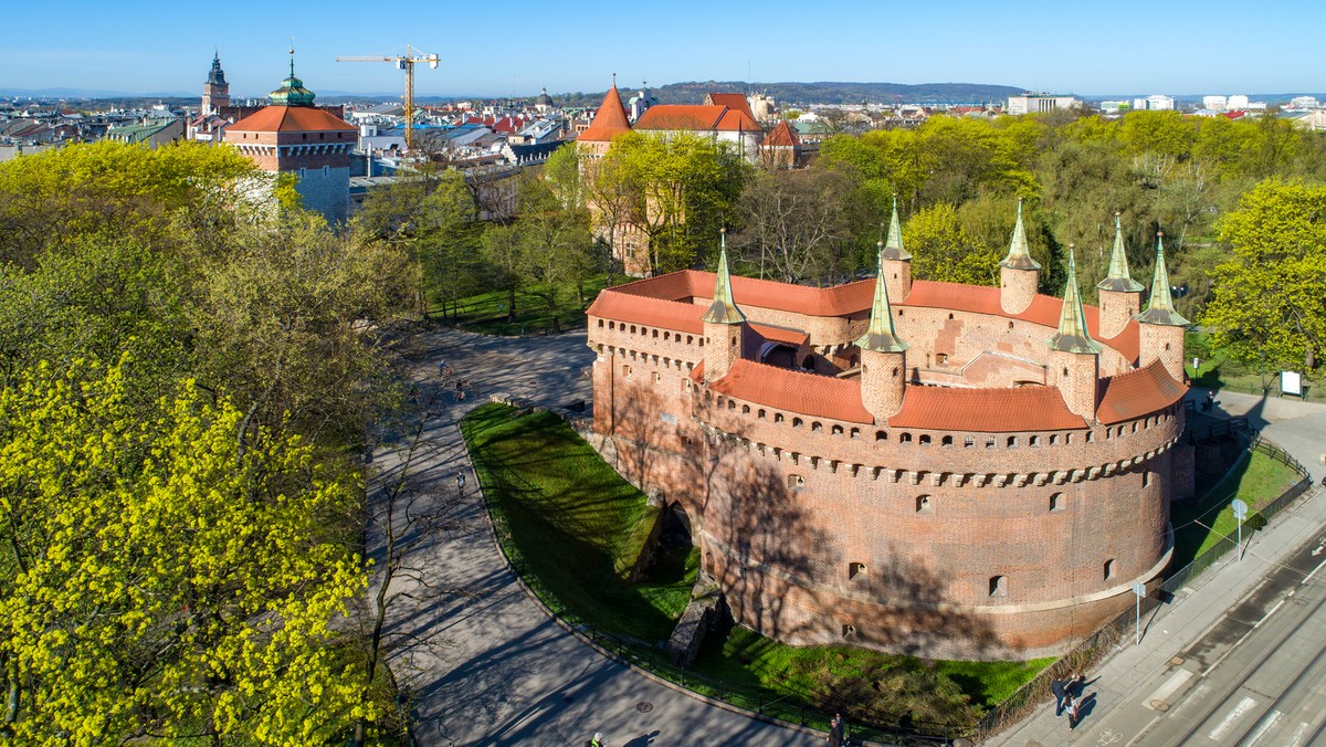 Nawet niewielkie zmiany powierzchni terenów zielonych w miastach – a więc np. wycięcie drzew pod inwestycję mogą mieć niekorzystny, zauważalny wpływ na jakość powietrza - to wnioski z analizy sporządzonej przez firmę Airly.