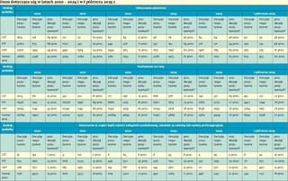 Dane dotyczące ulg w latach 2020–2024 i w I półroczu 2025 r.