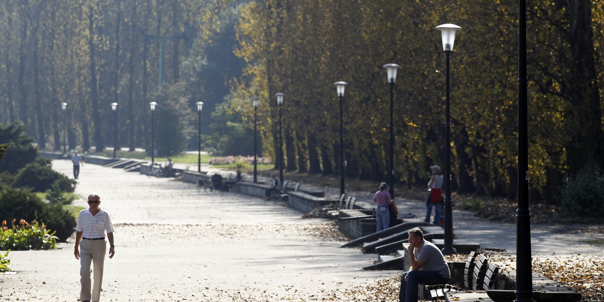 Wymienią drzewa w parku