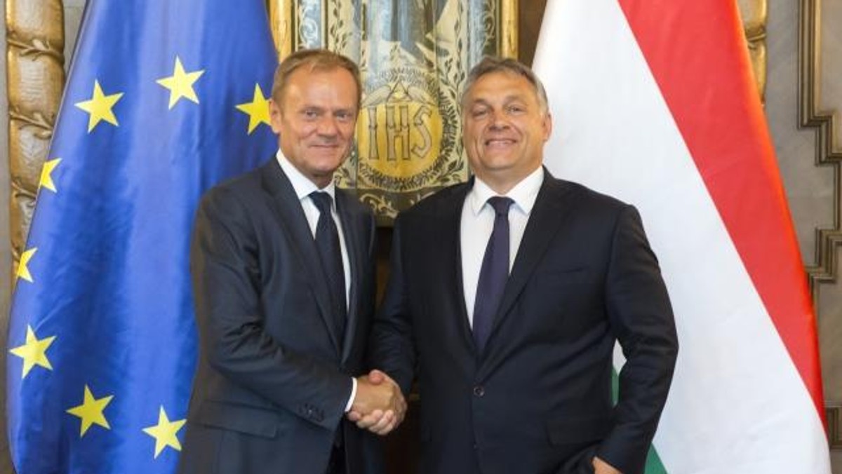 Tusk Orban