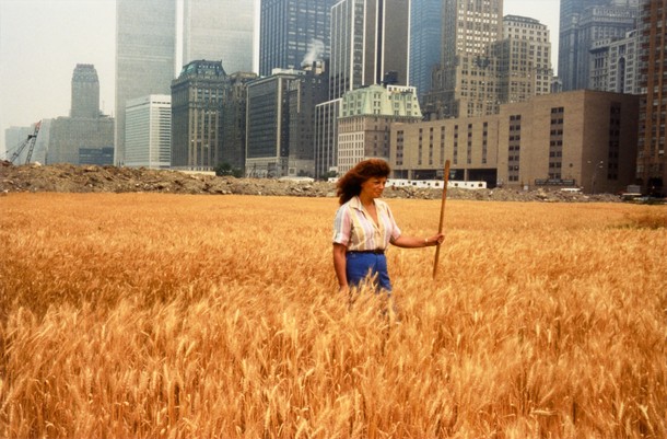  Pola pszenicy – konfrontacja: wysypisko Battery Park, dolny Manhattan, z Agnes Denes stojącą w polu, 1982