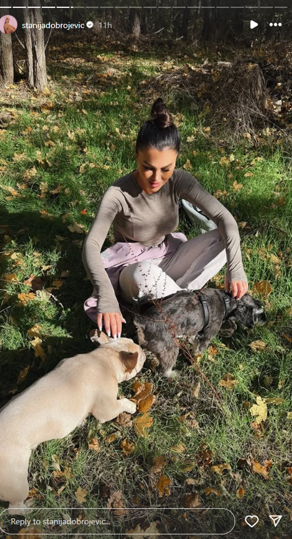 Stanija Dobrojević, objava